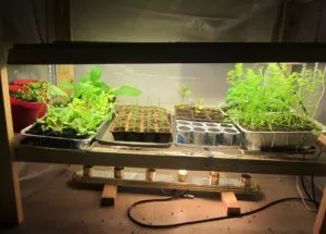 Garden lightning